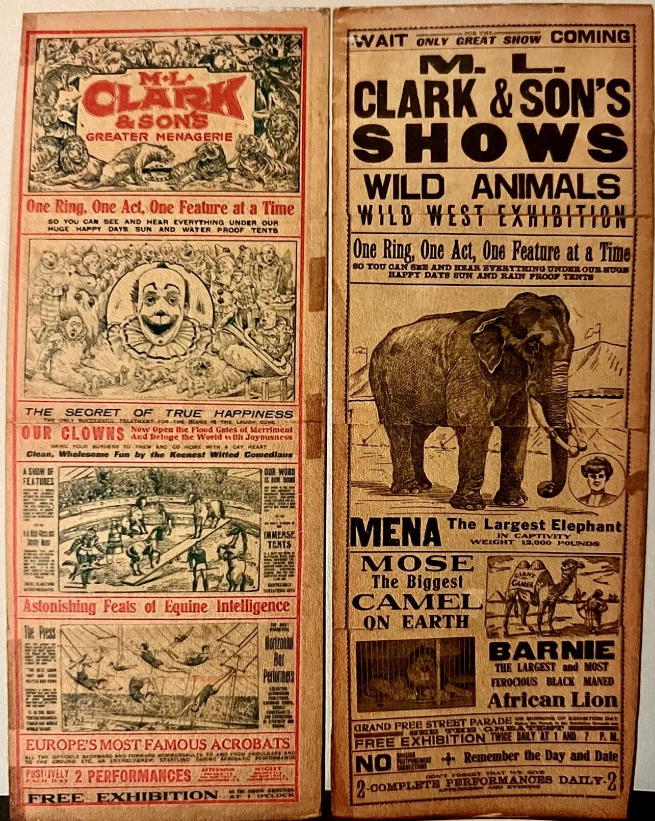 alexandria circus 5